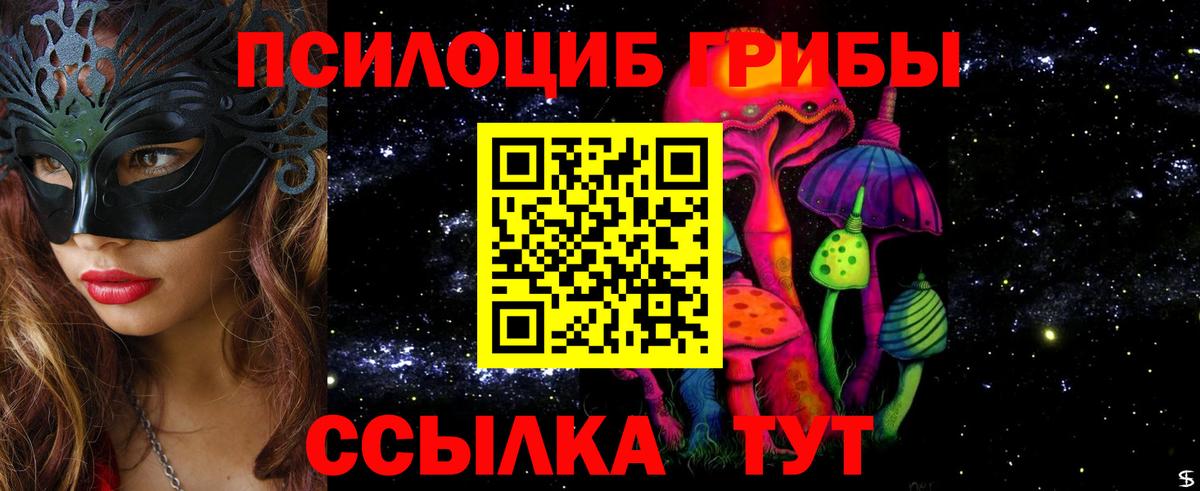 Санкт-Петербург  Псилоцибиновые грибы Psilocybe  Вход с VPN 