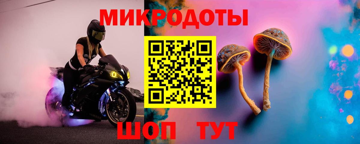 Псилоцибиновые грибы Psilocybine cubensis Санкт-Петербург